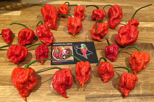 Carolina Reaper Challenge Race Reviews